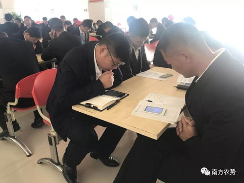 千錘百煉為今朝，淡定應考展風采——2018年華南營銷總部三力技術營銷農化服務力現場通關火熱進行