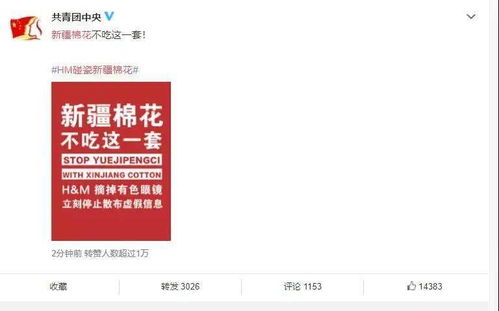 新疆棉花的底氣 為何沒有服裝品牌不可或缺