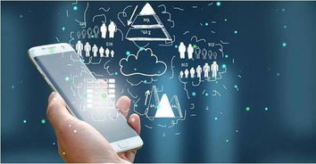 受益中產崛起與網絡媒體效應，拼多多等中國消費股上漲趨勢延續